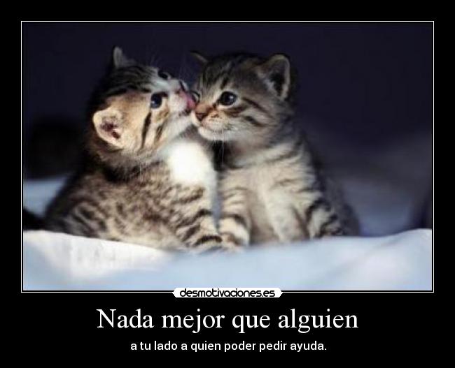Nada mejor que alguien - 
