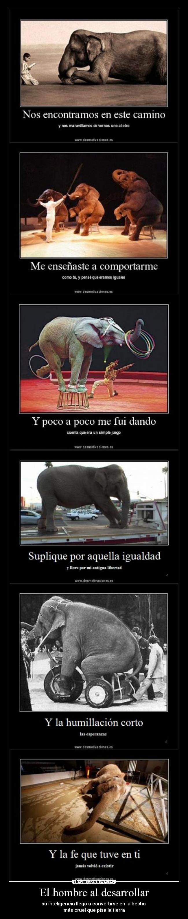 El hombre al desarrollar -