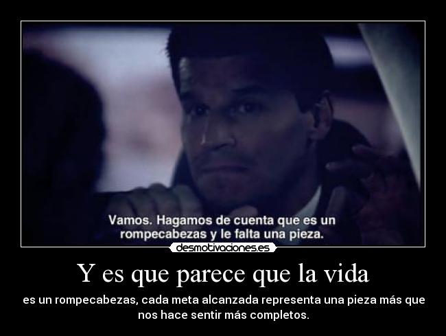 Y es que parece que la vida -