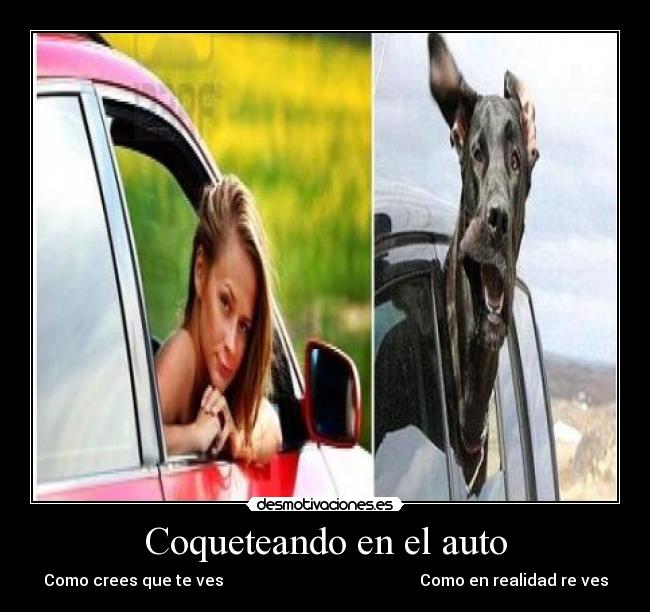 carteles auto desmotivaciones