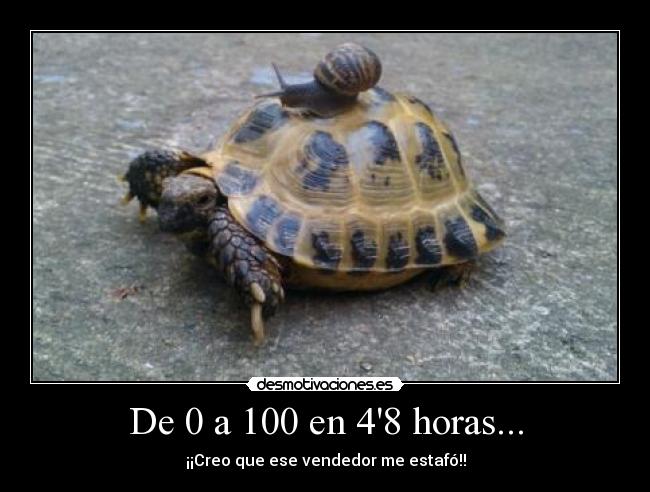 De 0 a 100 en 48 horas... - 