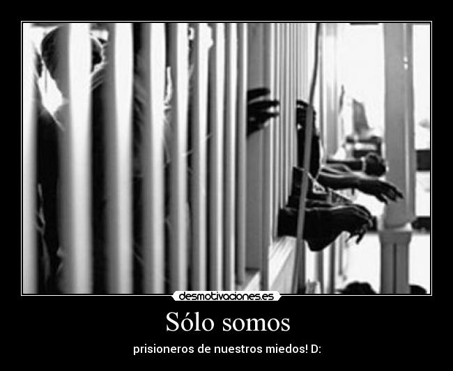 Sólo somos - 