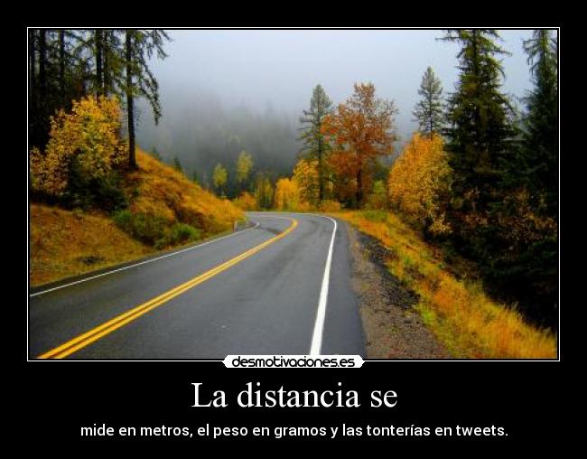 La distancia se - mide en metros, el peso en gramos y las tonterías en tweets.