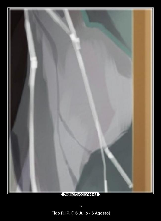 . - Fido R.I.P. (16 Julio - 6 Agosto)