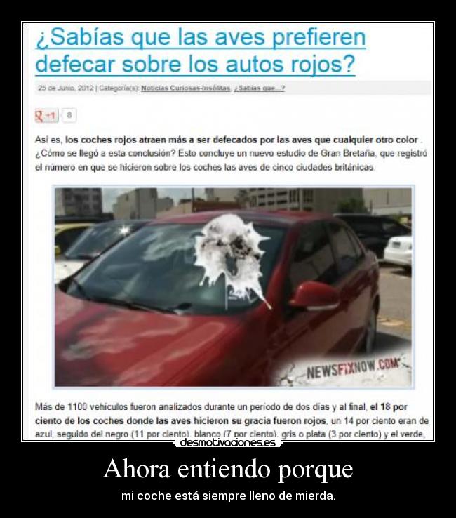 Ahora entiendo porque - mi coche está siempre lleno de mierda.