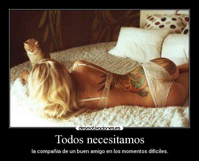 carteles amistad desmotivaciones