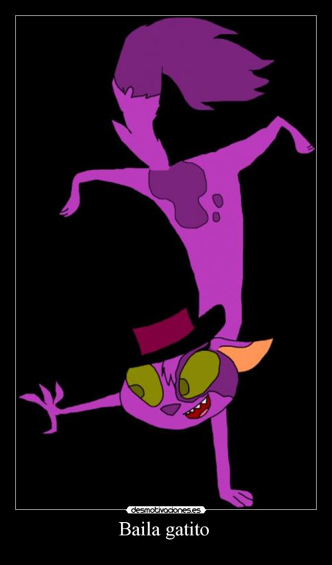 Baila gatito -