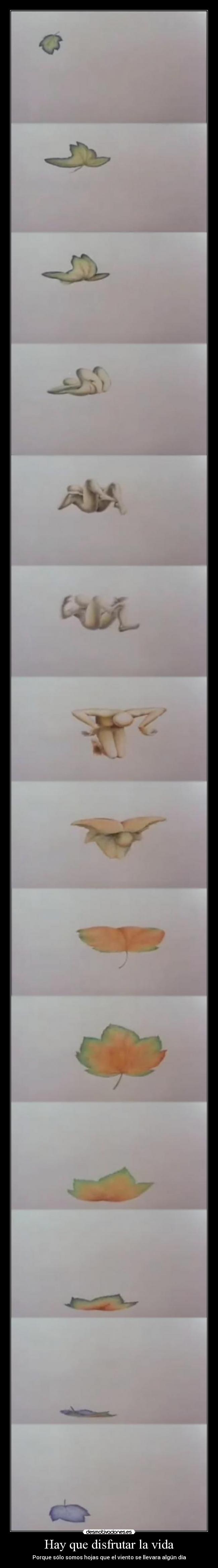 Hay que disfrutar la vida -