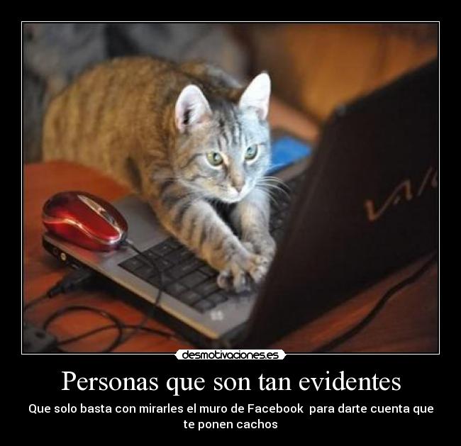 Personas que son tan evidentes - Que solo basta con mirarles el muro de Facebook para darte cuenta que
te ponen cachos