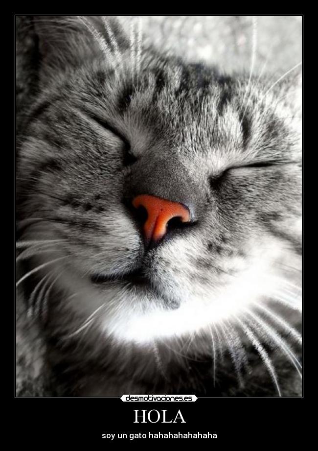 carteles 654545454 desmotivaciones