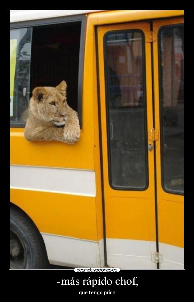-más rápido chof, - que tengo prisa