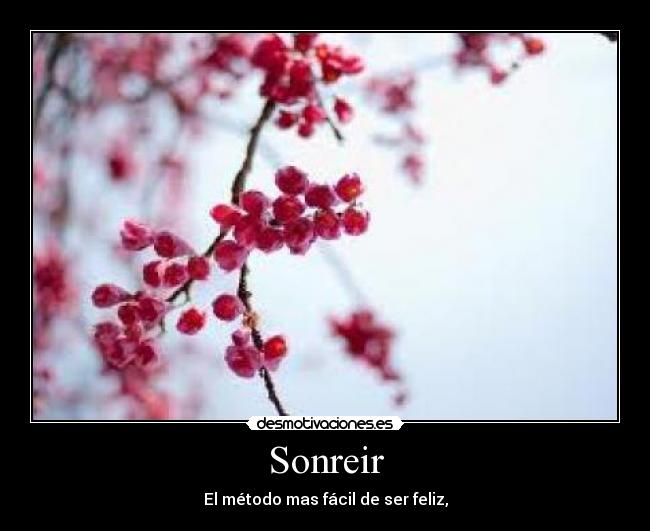 carteles etiquetas desmotivaciones