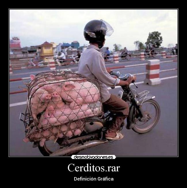 carteles cerditos rar definicion grafica desmotivaciones