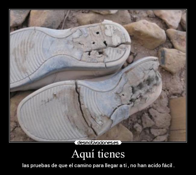 Aquí tienes - las pruebas de que el camino para llegar a ti , no han acido fácil .