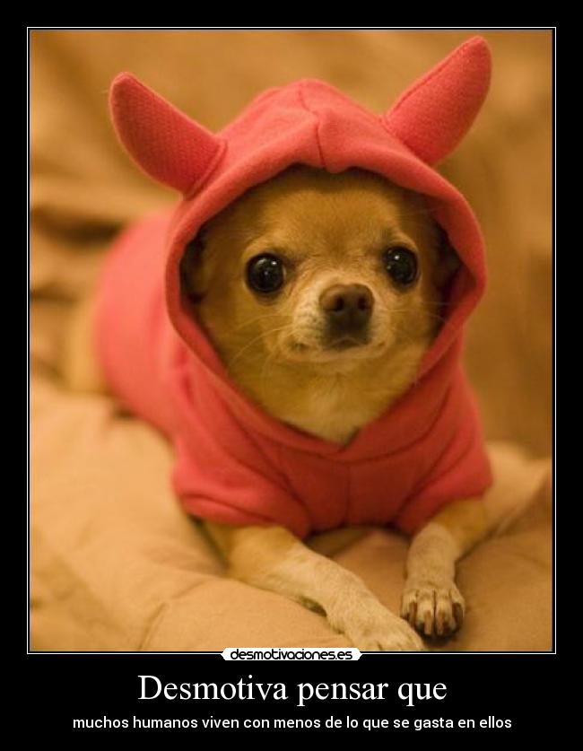 Desmotiva pensar que - muchos humanos viven con menos de lo que se gasta en ellos