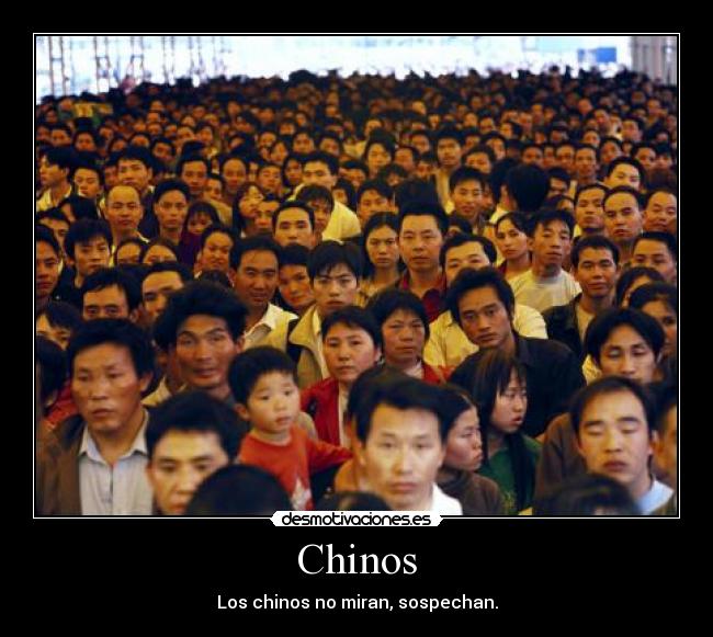 Chinos - 