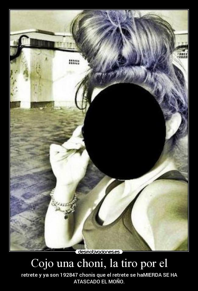 carteles chonis desmotivaciones