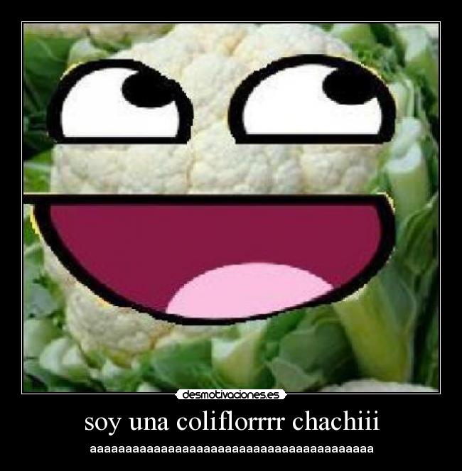 soy una coliflorrrr chachiii - aaaaaaaaaaaaaaaaaaaaaaaaaaaaaaaaaaaaaaaa