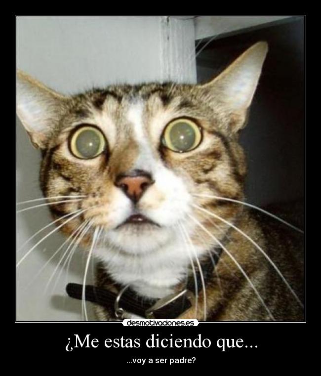 ¿Me estas diciendo que... - ...voy a ser padre?