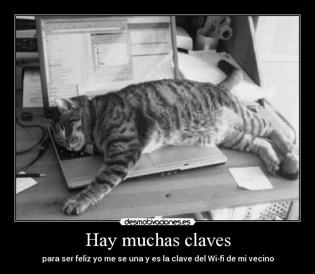 carteles llamo quemeimporta robar wifi desmotivaciones