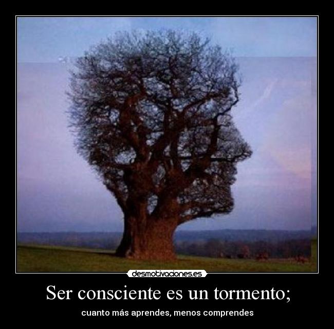 Ser consciente es un tormento; - cuanto más aprendes, menos comprendes