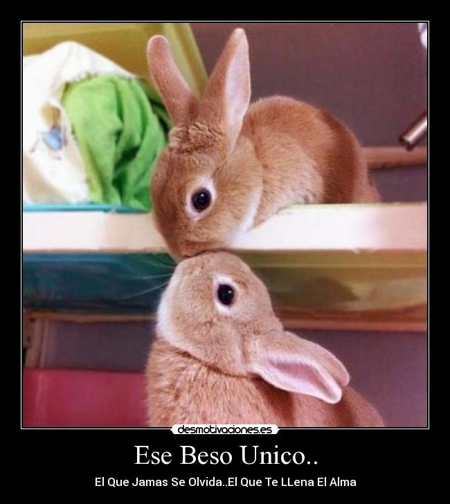 carteles solamente desmotivaciones