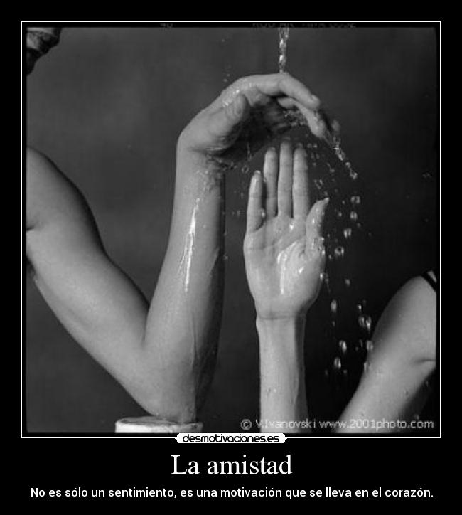 La amistad - No es sólo un sentimiento, es una motivación que se lleva en el corazón.