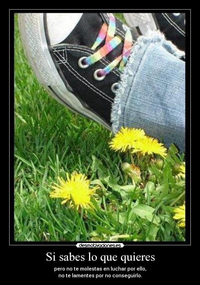 Si sabes lo que quieres - pero no te molestas en luchar por ello,
no te lamentes por no conseguirlo.