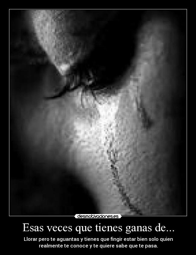 carteles nurii2706 desmotivaciones