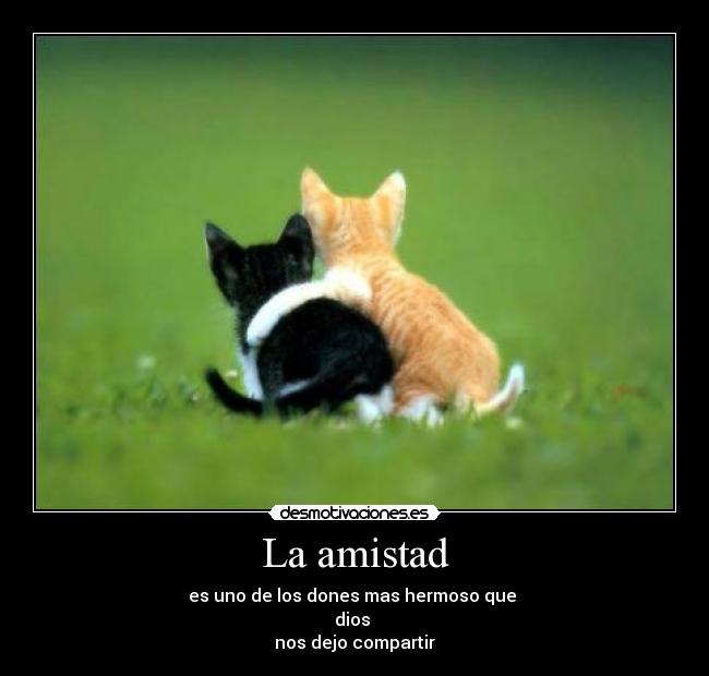 La amistad - es uno de los dones mas hermoso que 
dios 
nos dejo compartir