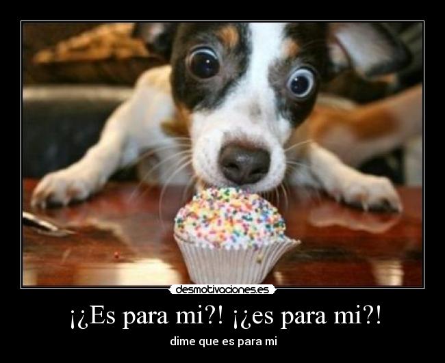 ¡¿Es para mi?! ¡¿es para mi?! -