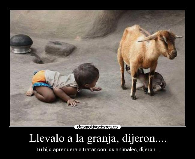 Llevalo a la granja, dijeron.... - Tu hijo aprendera a tratar con los animales, dijeron...