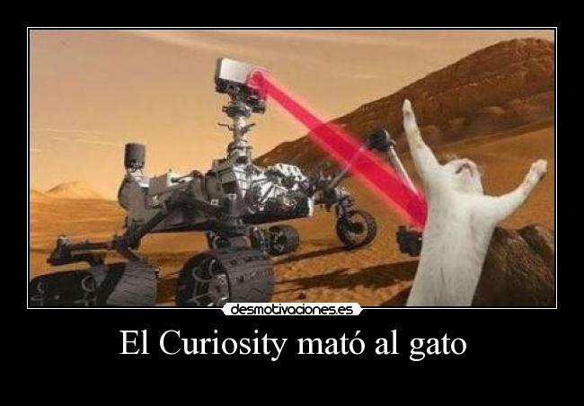 El Curiosity mató al gato - 