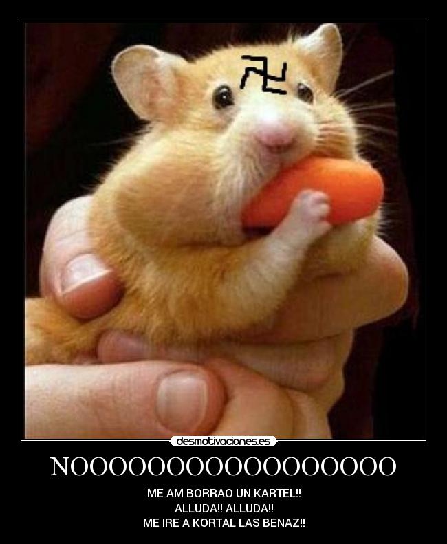 NOOOOOOOOOOOOOOOOO - ME AM BORRAO UN KARTEL!!
ALLUDA!! ALLUDA!!
ME IRE A KORTAL LAS BENAZ!!