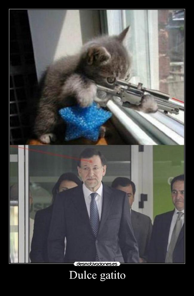 Dulce gatito - 