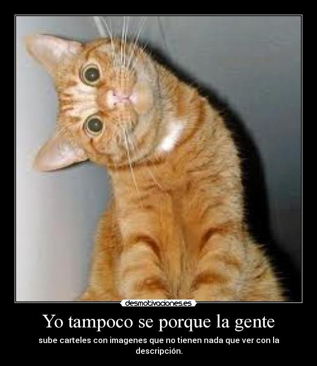 Yo tampoco se porque la gente - sube carteles con imagenes que no tienen nada que ver con la descripción.