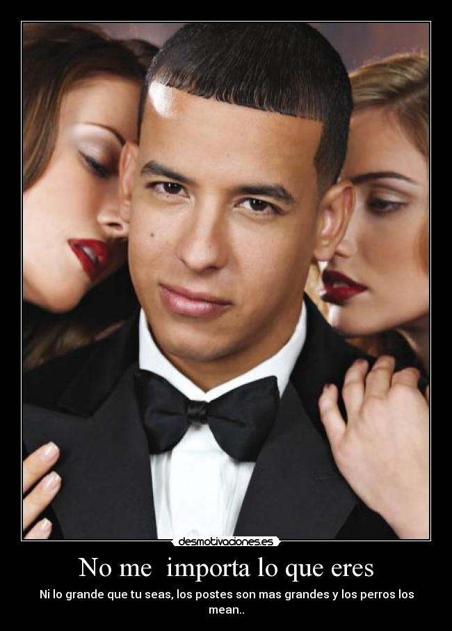 No me importa lo que eres - Ni lo grande que tu seas, los postes son mas grandes y los perros los mean..