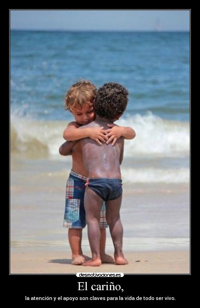 El cariño, -