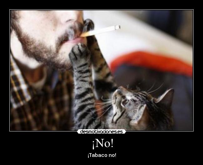 ¡No! -