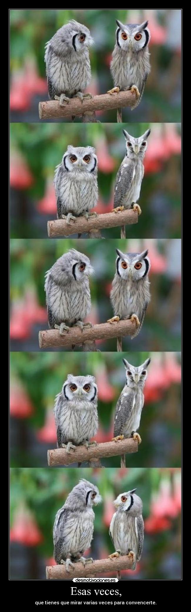 Esas veces, - que tienes que mirar varias veces para convencerte.