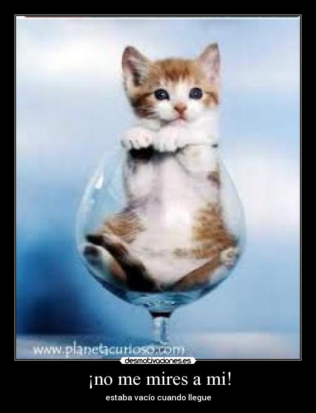 ¡no me mires a mi! - estaba vacío cuando llegue