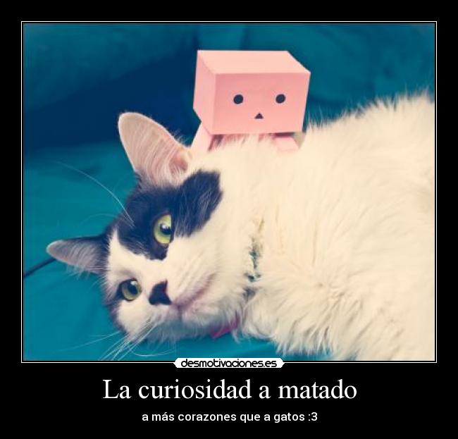 La curiosidad a matado -
