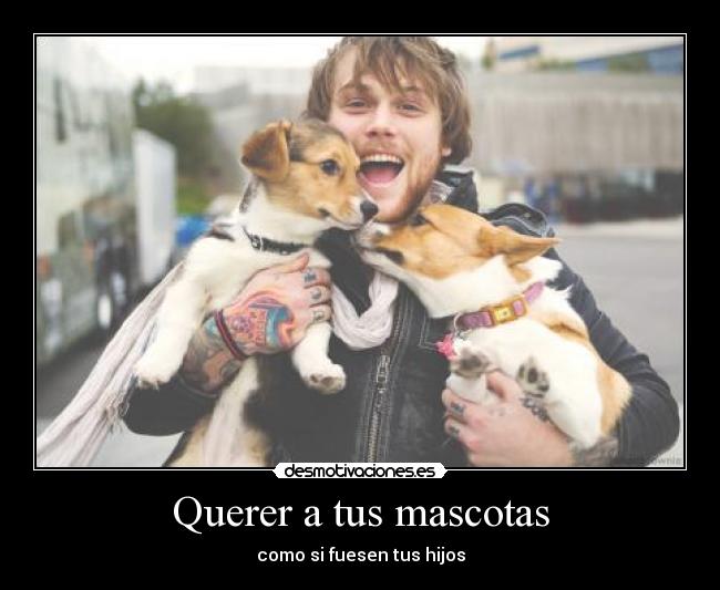 Querer a tus mascotas -