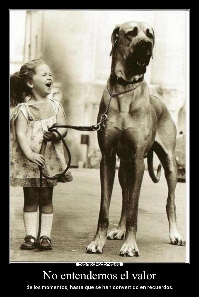 No entendemos el valor - de los momentos, hasta que se han convertido en recuerdos.