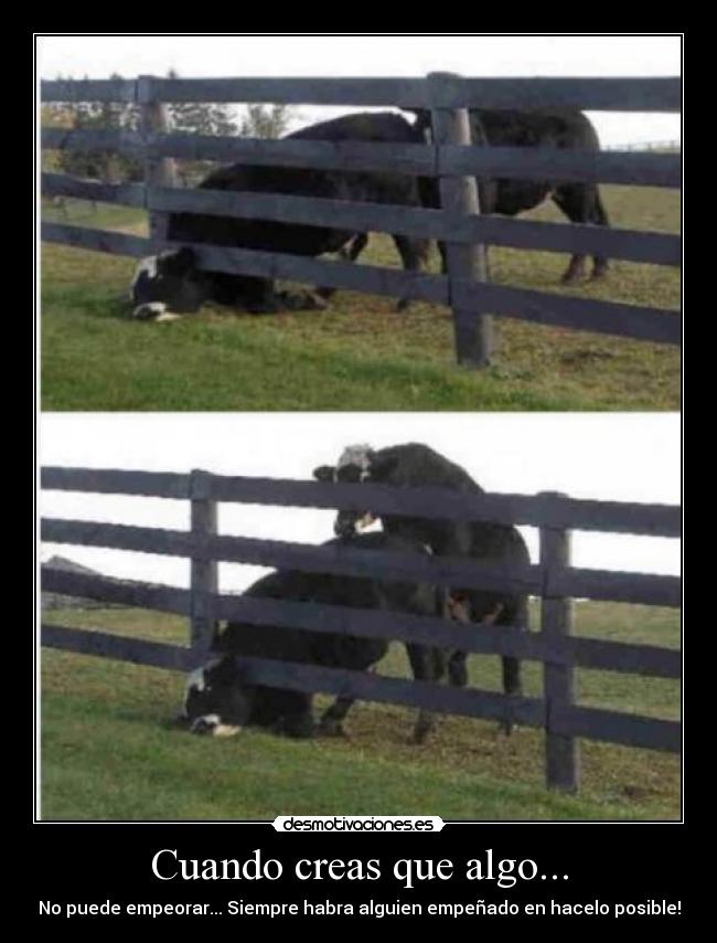 Cuando creas que algo... - 