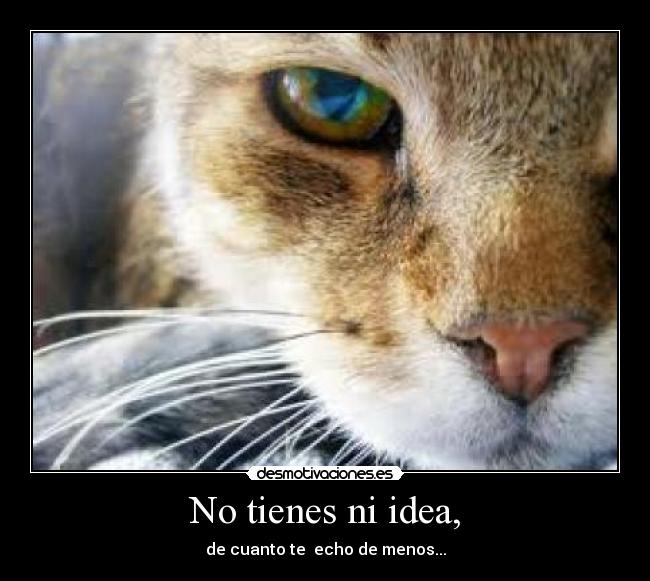 carteles forever alone desmotivaciones