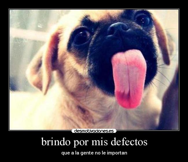 brindo por mis defectos -