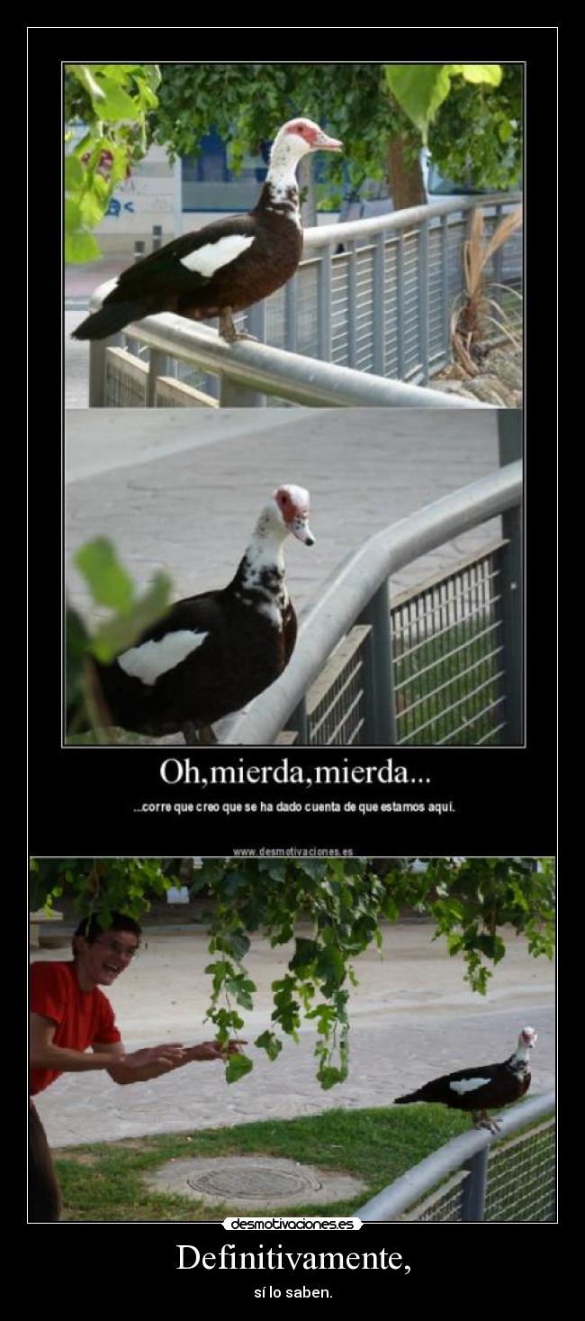 Definitivamente, - sí lo saben.