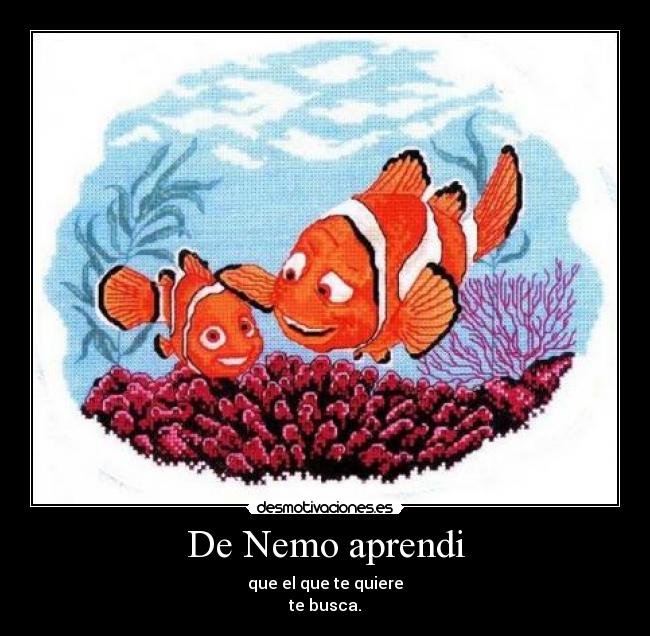De Nemo aprendi - que el que te quiere
te busca.