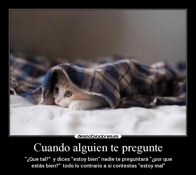 Cuando alguien te pregunte - 